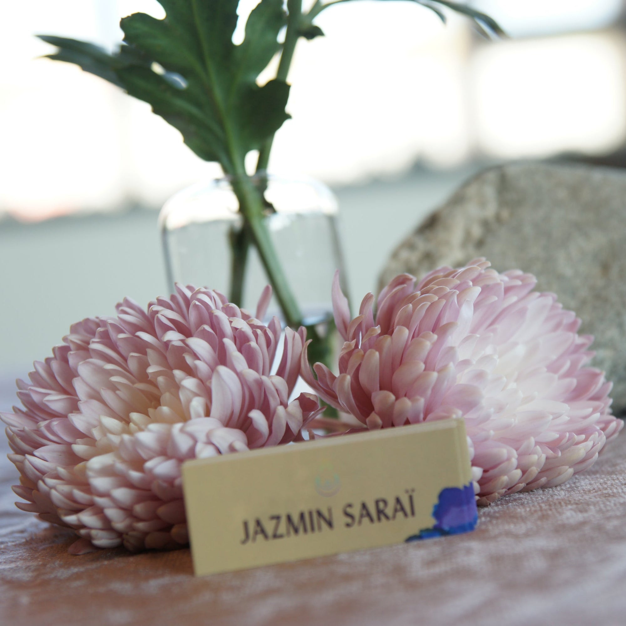 A table with two artificial pink roses and a card with the name 'Jazmin Saraé' on it, placed on a table with a blurred background.